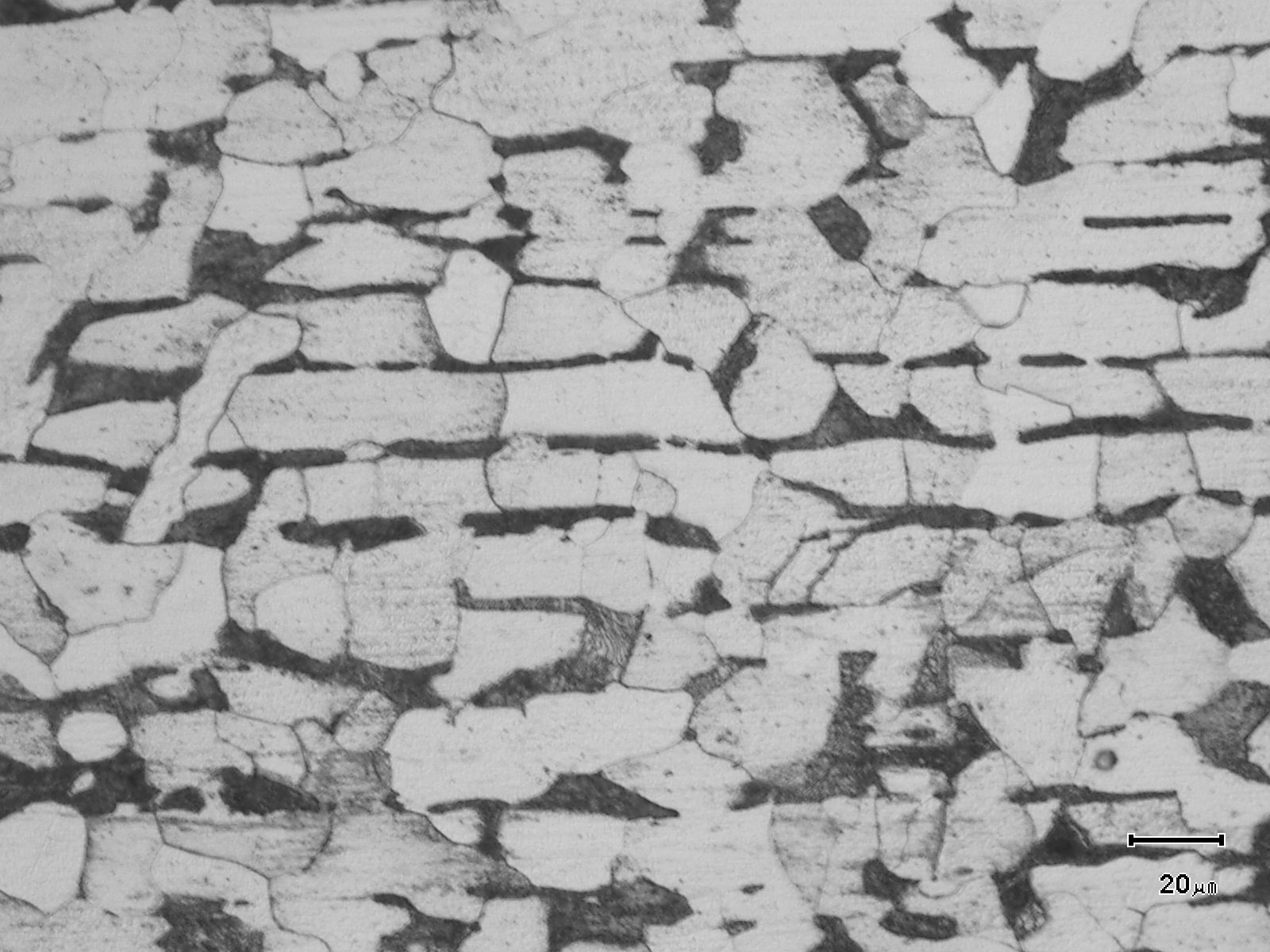 Microstructure sample examined under the microscope