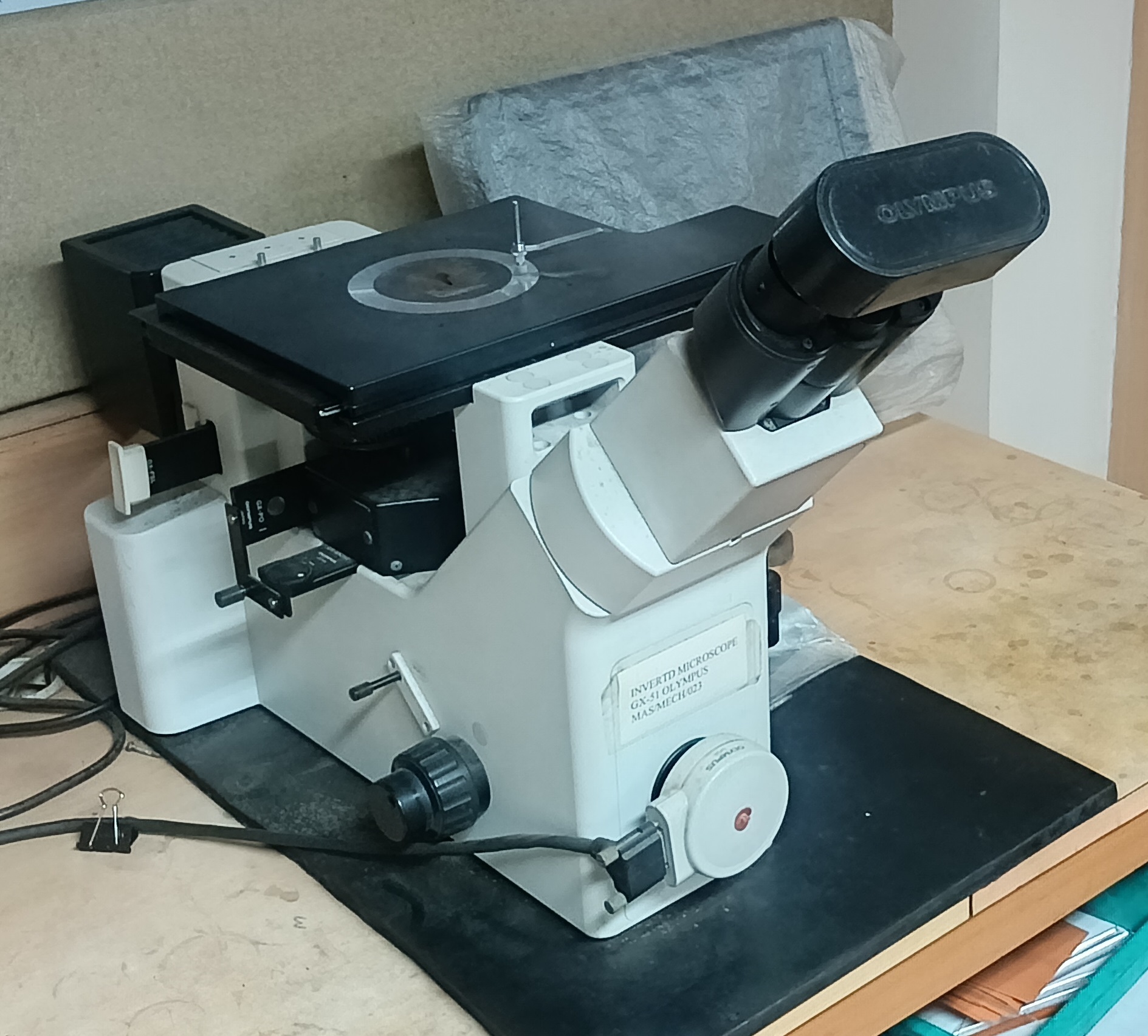 Olympus stereo microscope